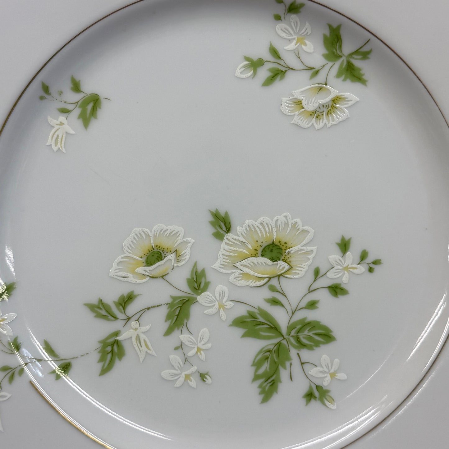 Fashion Manor Summertime Fine China Plates Set of 7 Japan