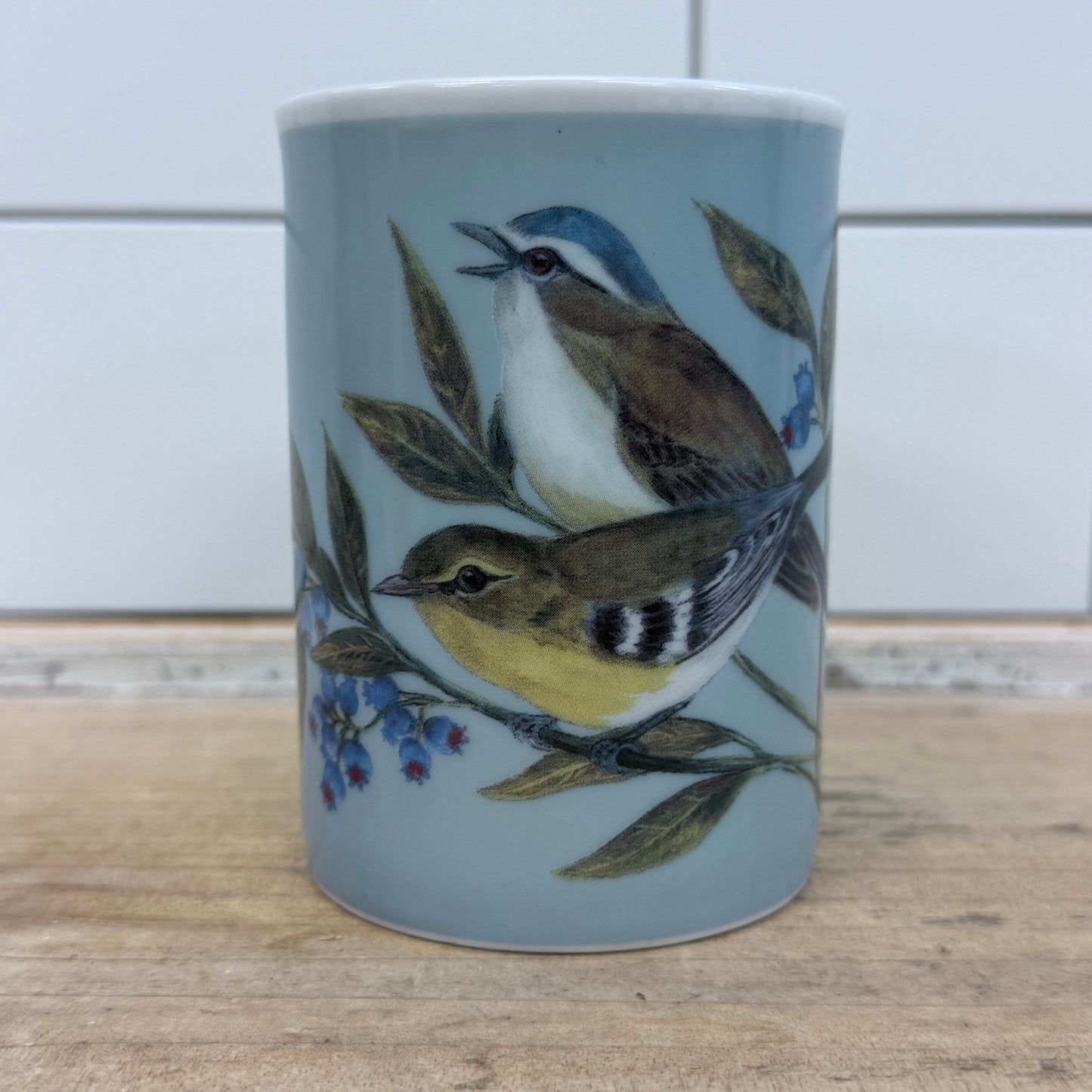 Inhesion Garden Birds Mug Set of 7 by Maria Ryan Porcelain