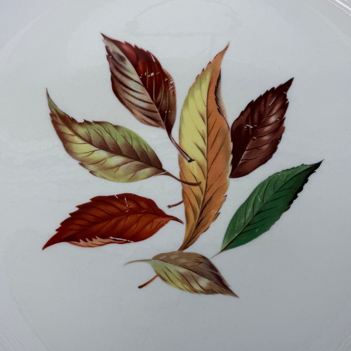 Vintage Autumn Leaf Plate Set of 8