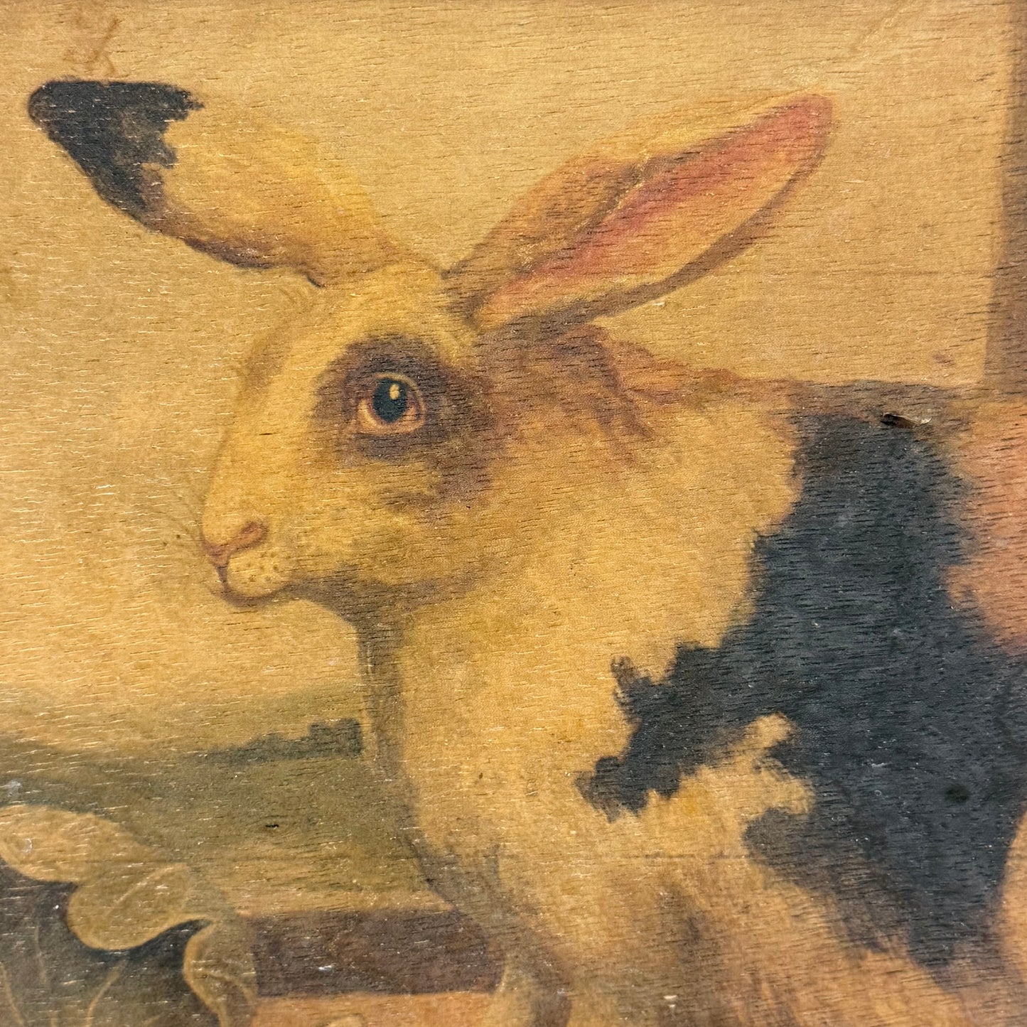 Mid Gordon English Rabbit II Framed Art on Wood 2001