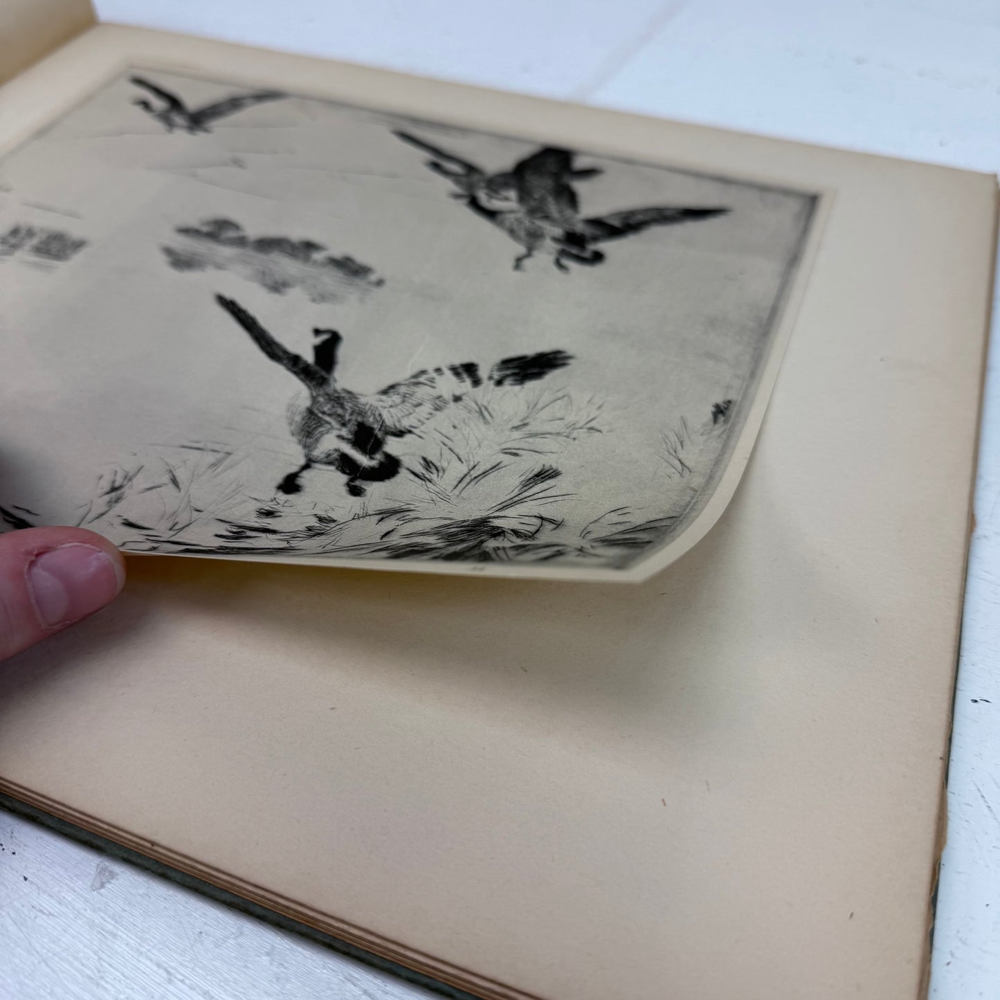 Frank W. Benson Modern Masters of Etching Volume 6 Hardback, 1925