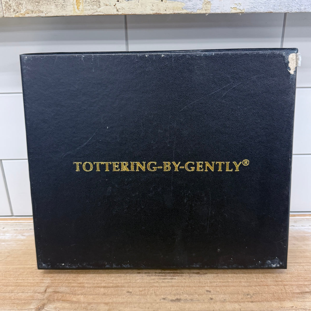 Annie Tempest Tottering-by-Gently Placemats Boxed Set of 6