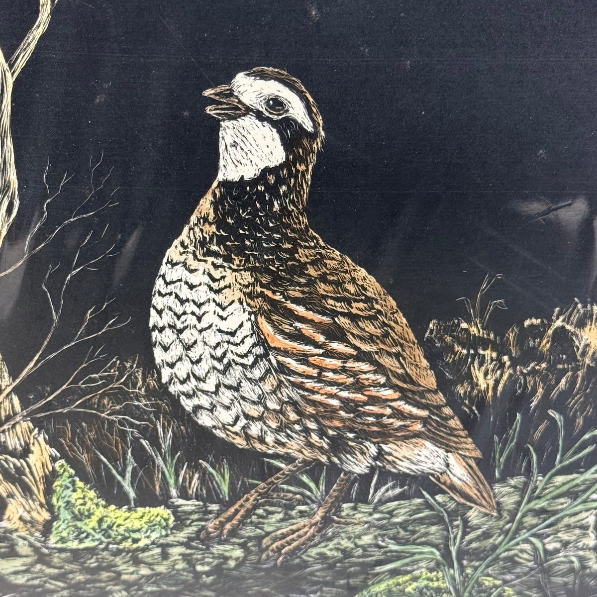 Mel Hart Mr. Bob Quail Signed Limited Edition Print 29/340 1986