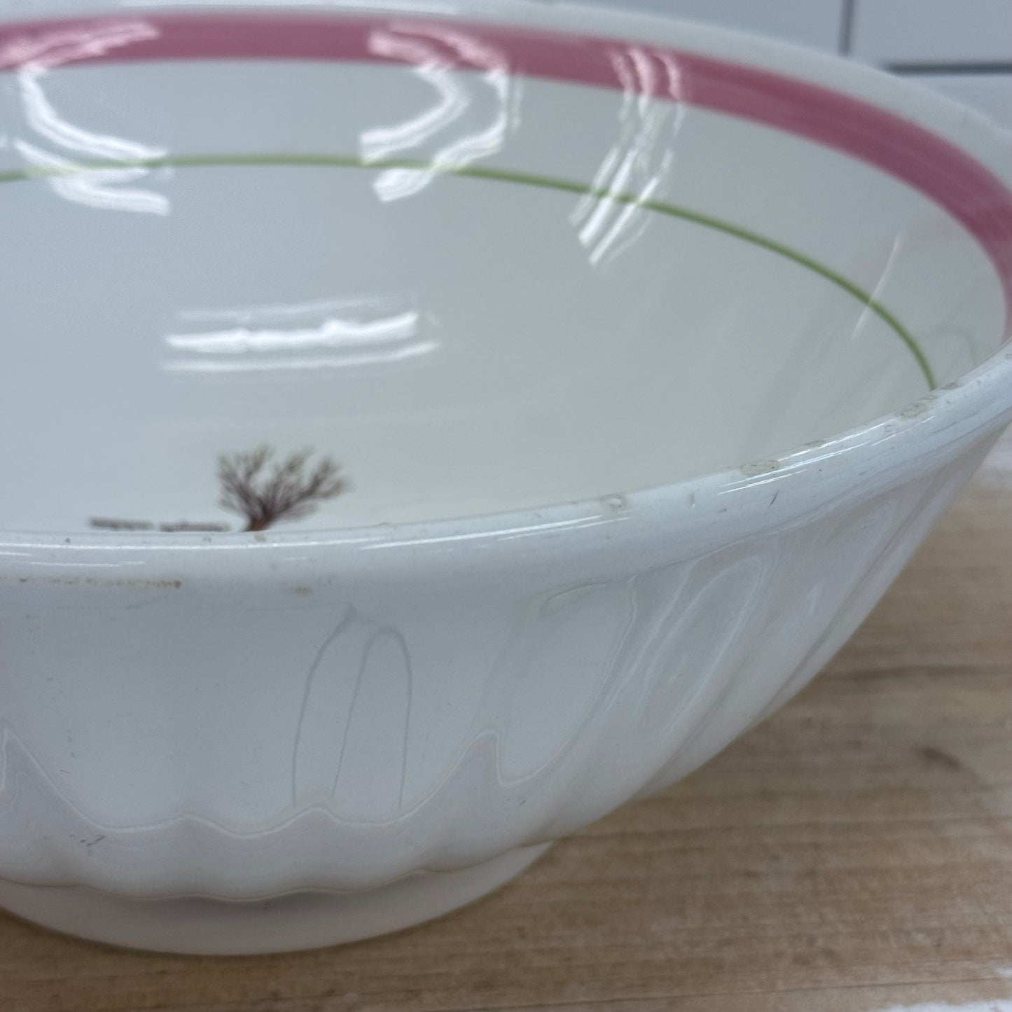 La Primula Italy Chimaphila Botanical Ceramic Serving Bowl 11”