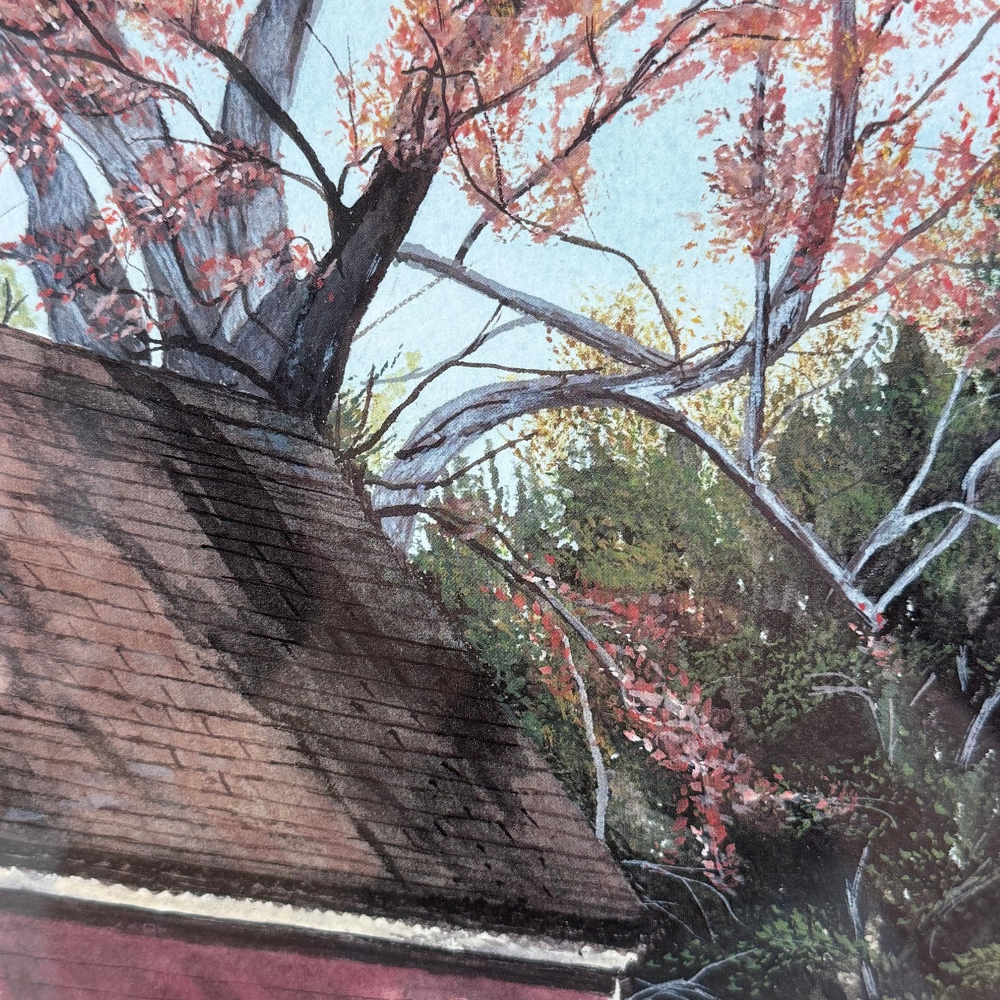 N. Hulshizer Isham Goddin Shop Williamsburg Print 1990s