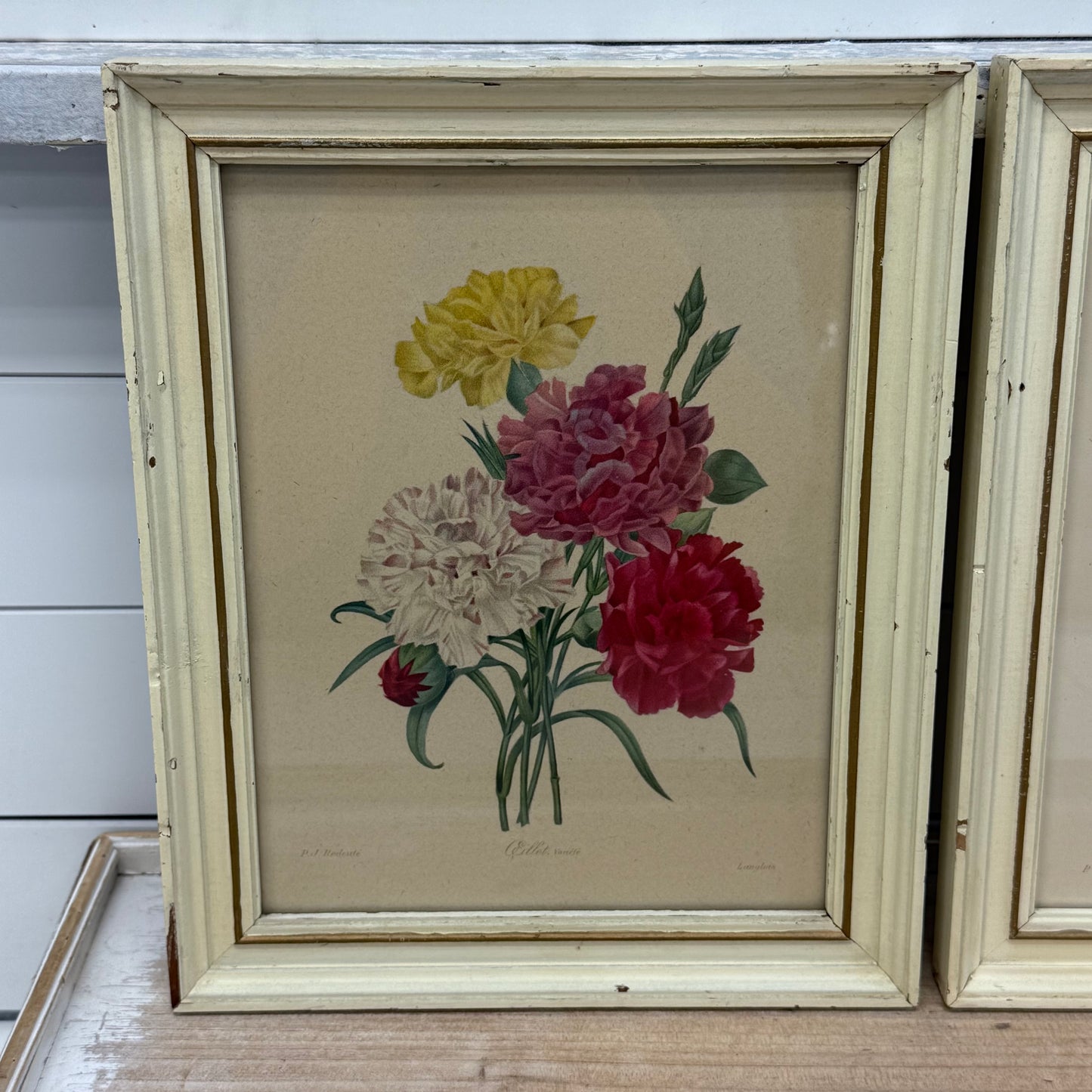 Pierre-Joseph Redouté
Floral Prints, Framed Set of 2