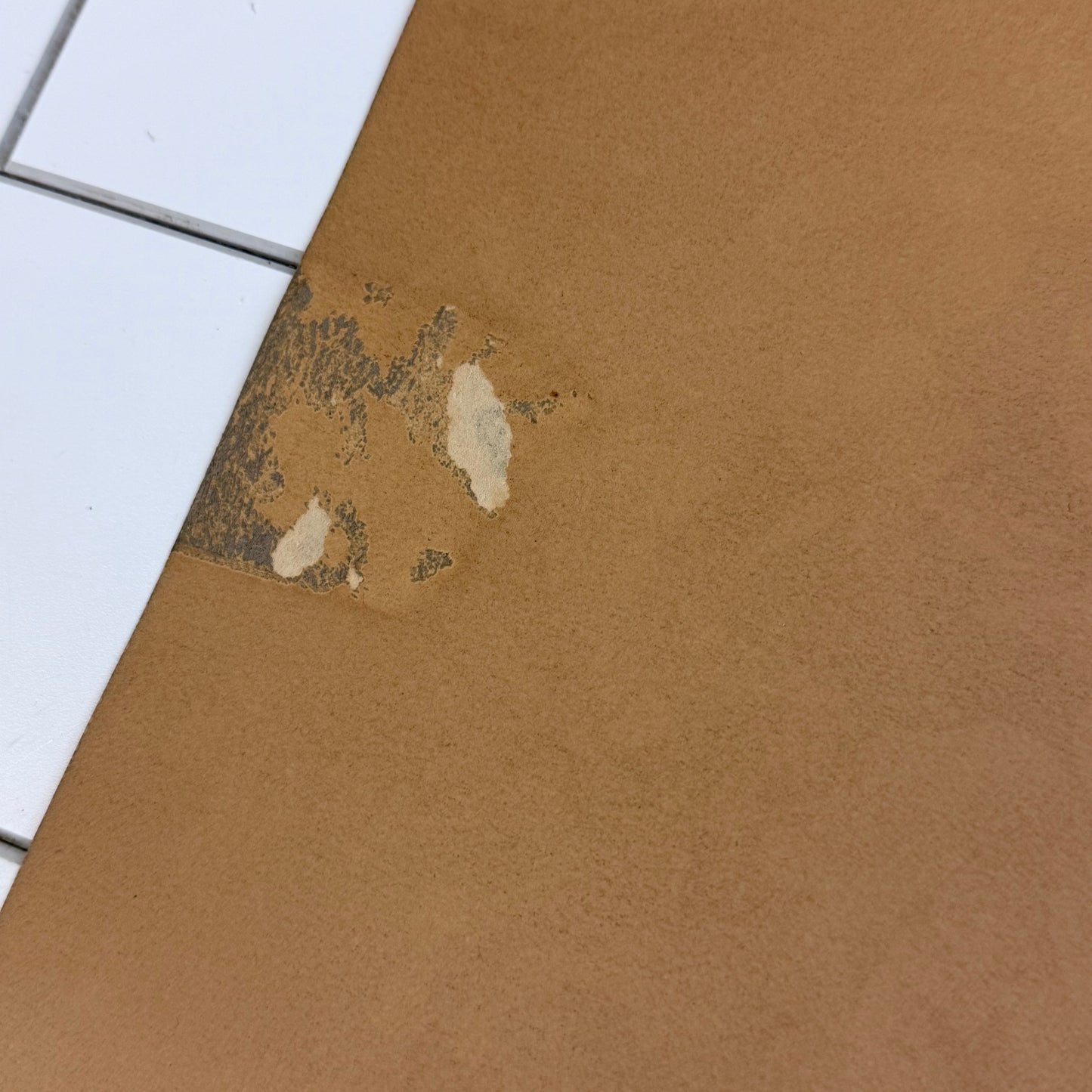 Jean Beasley Yellow Roses Lithograph, 1936