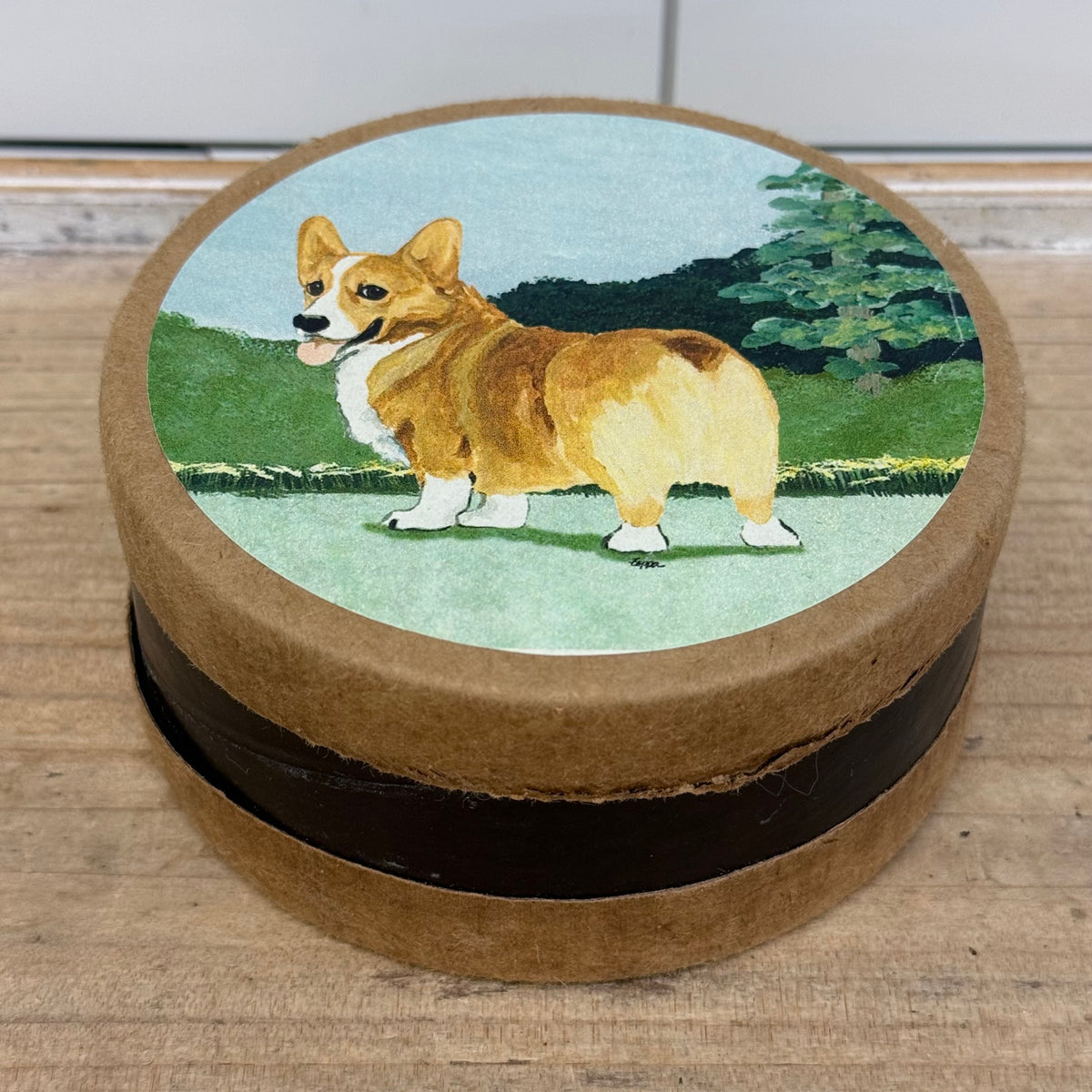 Zeppa Studios Corgi Fur Children Bisque Coasters Set of 4