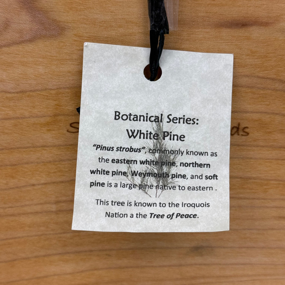 Sabbath-Day Woods White Pine Botanical Wood Box Clock