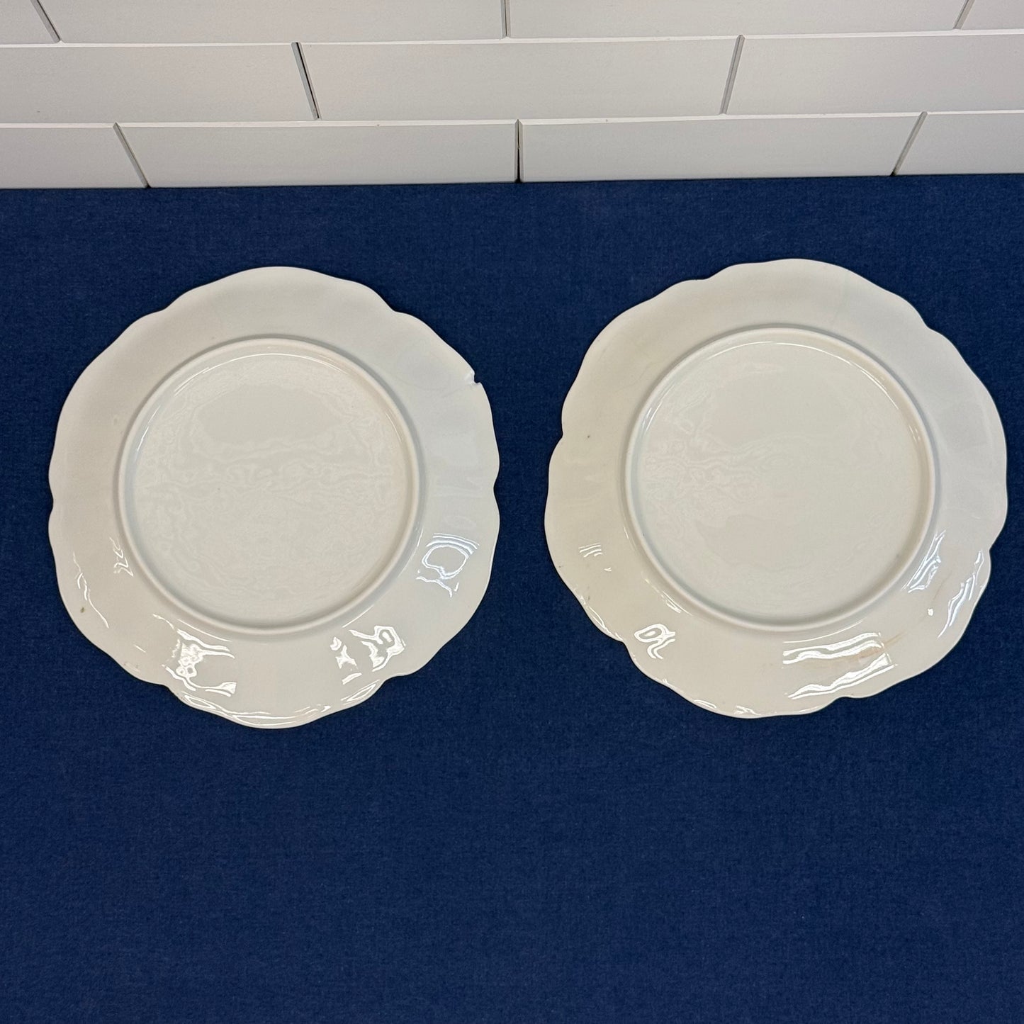 Antique European Porcelain Plates Set of 8 Hand Painted Floral Gilt Rim