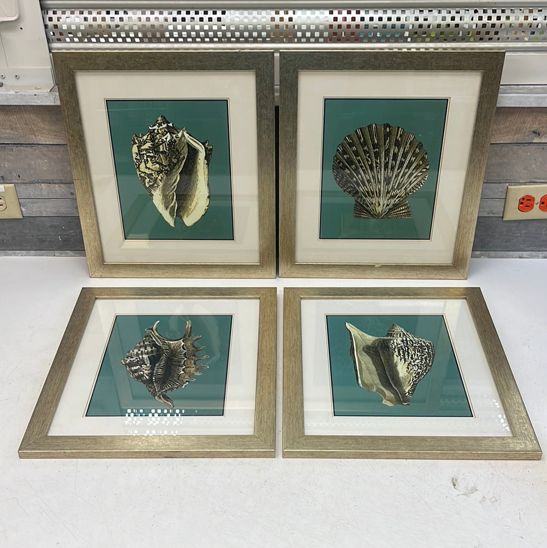 Framed Coastal Chic Seashell Prints, Set of 4