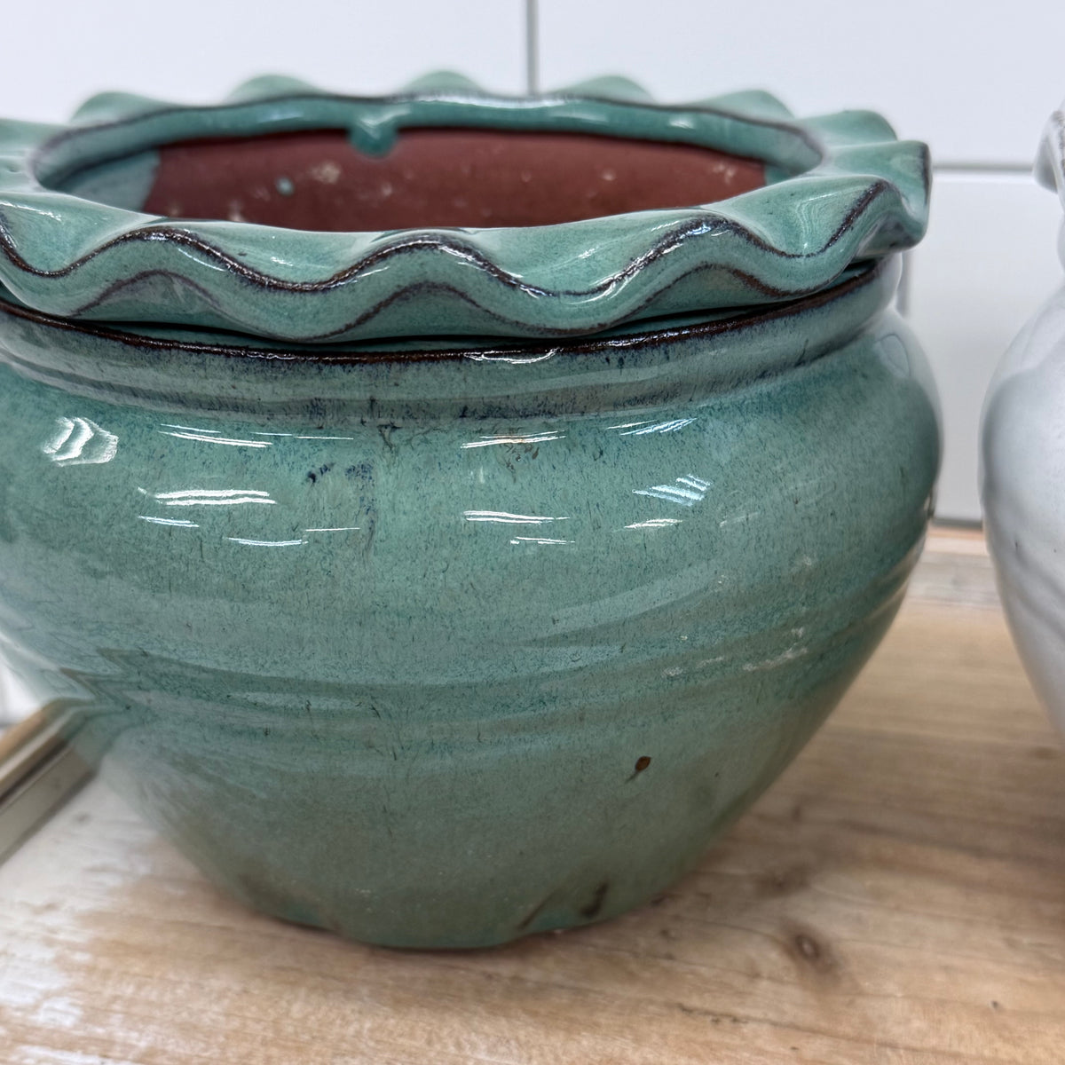 Self Watering Planter Selection