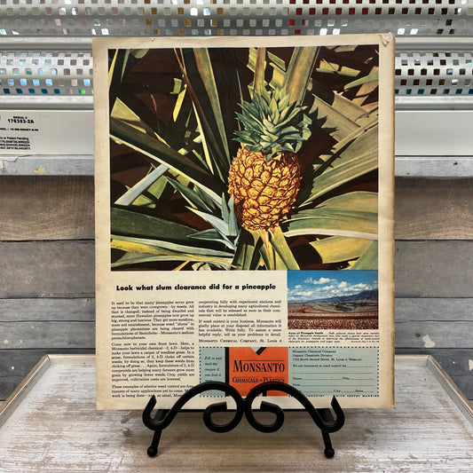 Fortune Magazine, June 1948