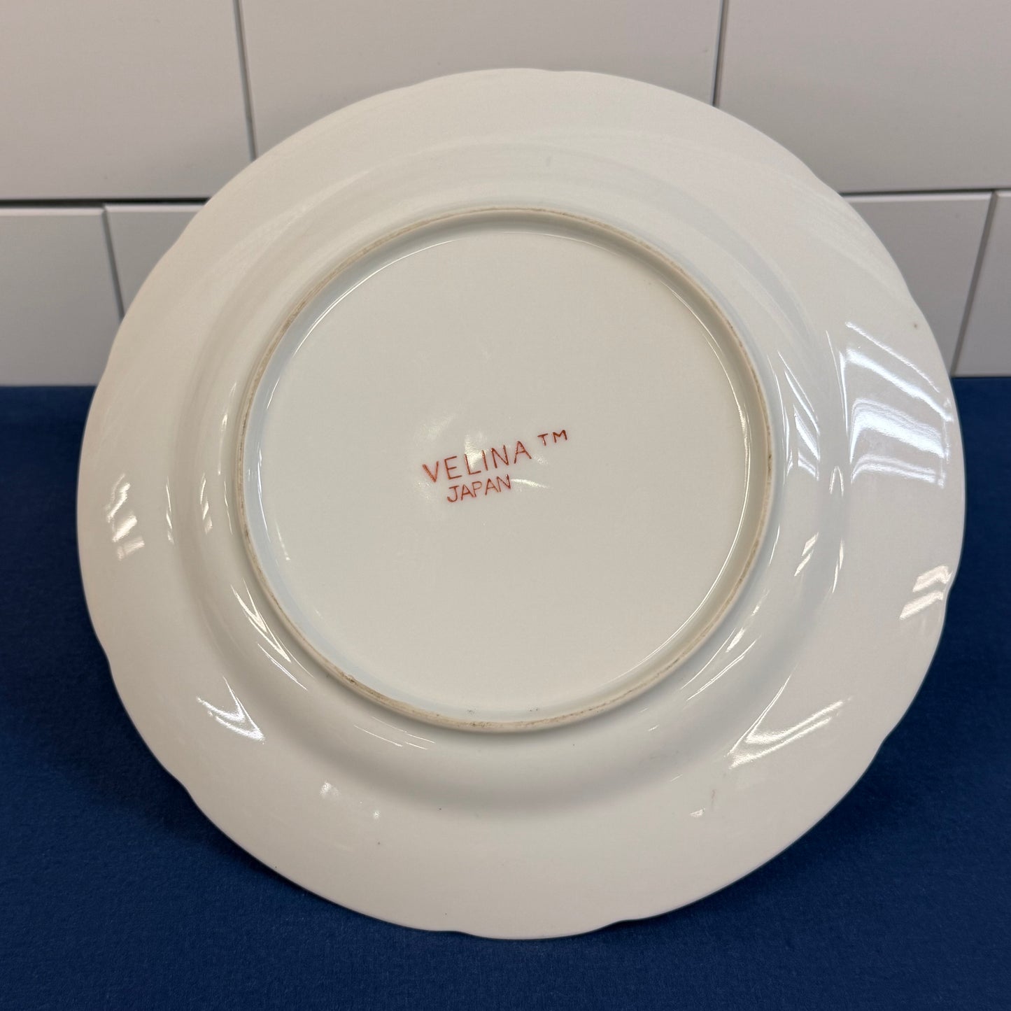 Handmade Porcelain Teacup Bird Display Plate