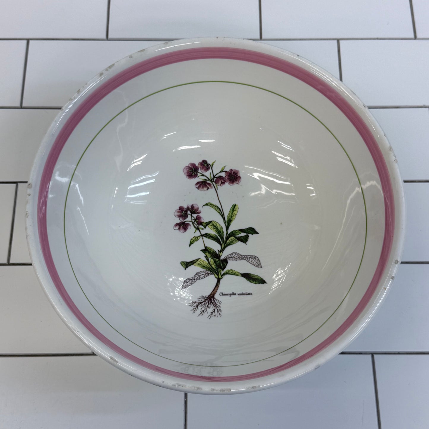 La Primula Italy Chimaphila Botanical Ceramic Serving Bowl 11”