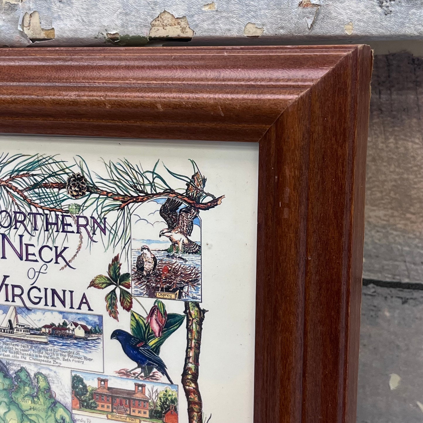 Ann Sader Northern Neck of Virginia Framed Art Print, 1997