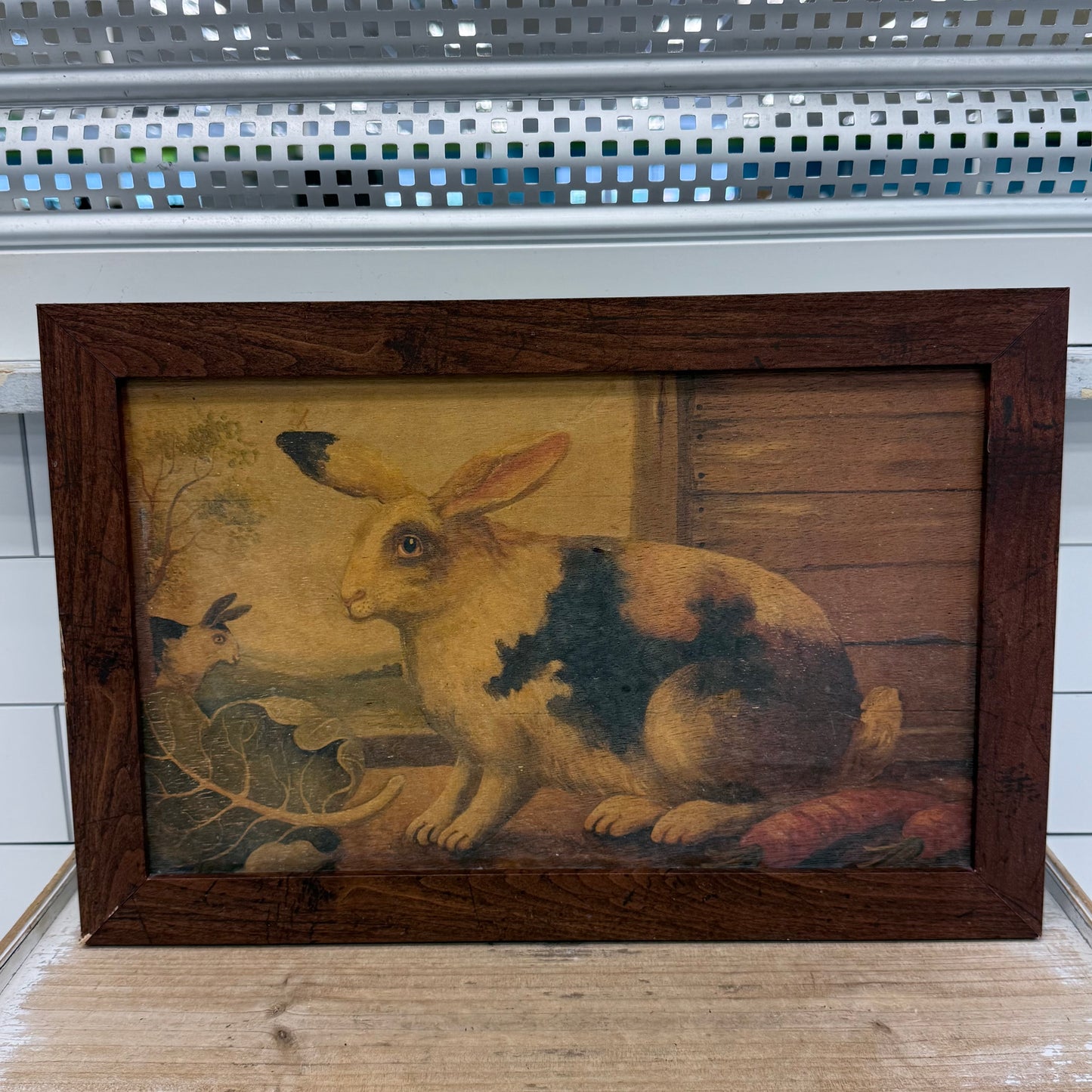 Mid Gordon English Rabbit II Framed Art on Wood 2001