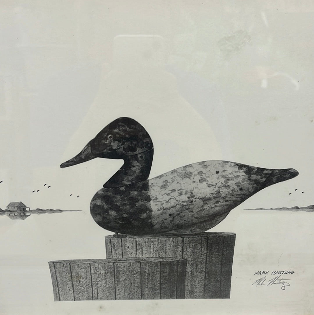 Waterfowl Sketch Collection, Signed & Numbered