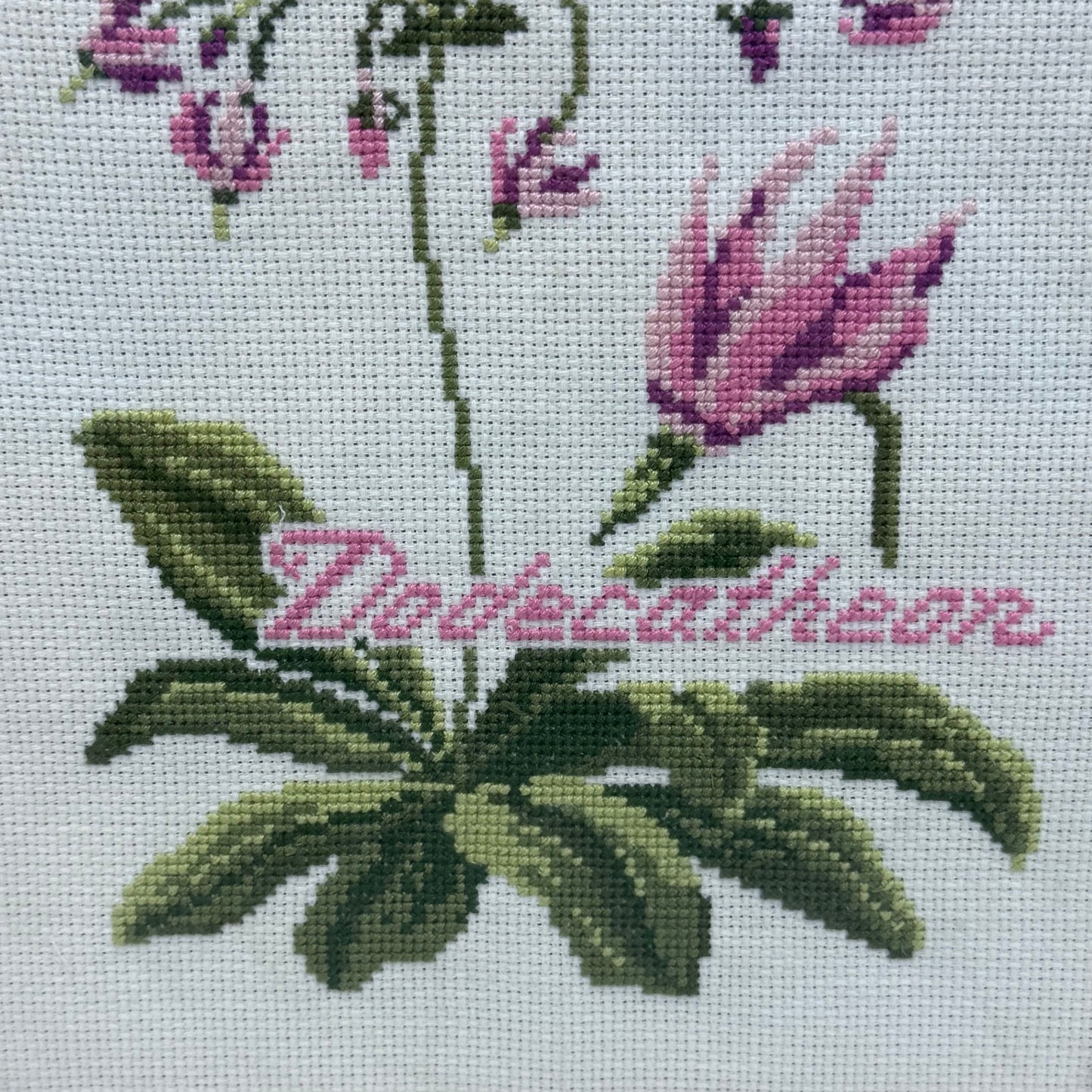 Dodecatheon Cross Stitch Art