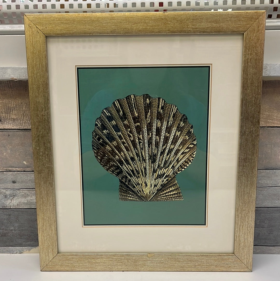 Framed Coastal Chic Seashell Prints, Set of 4