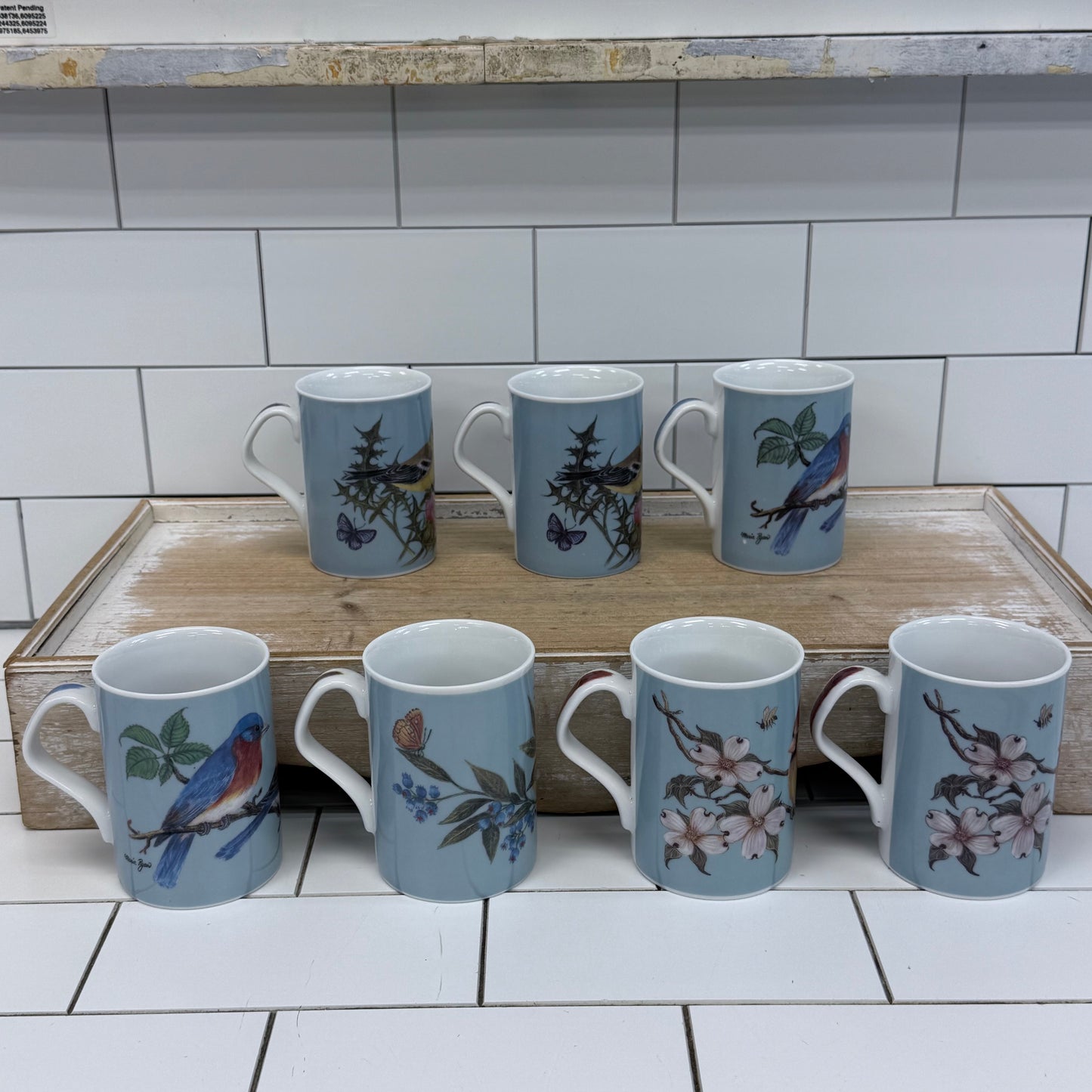 Inhesion Garden Birds Mug Set of 7 by Maria Ryan Porcelain