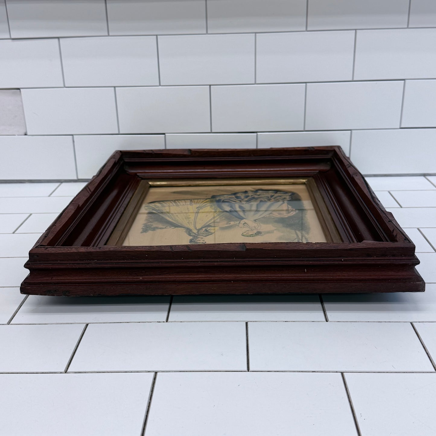 French Fashion Plate Gilquin Fils Paris 1850s Engraving