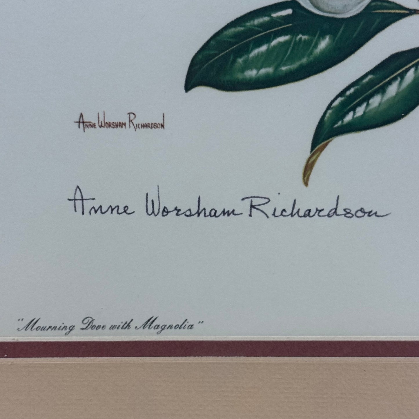 Anne Worsham Richardson Mourning Dove Magnolia Signed Art Print