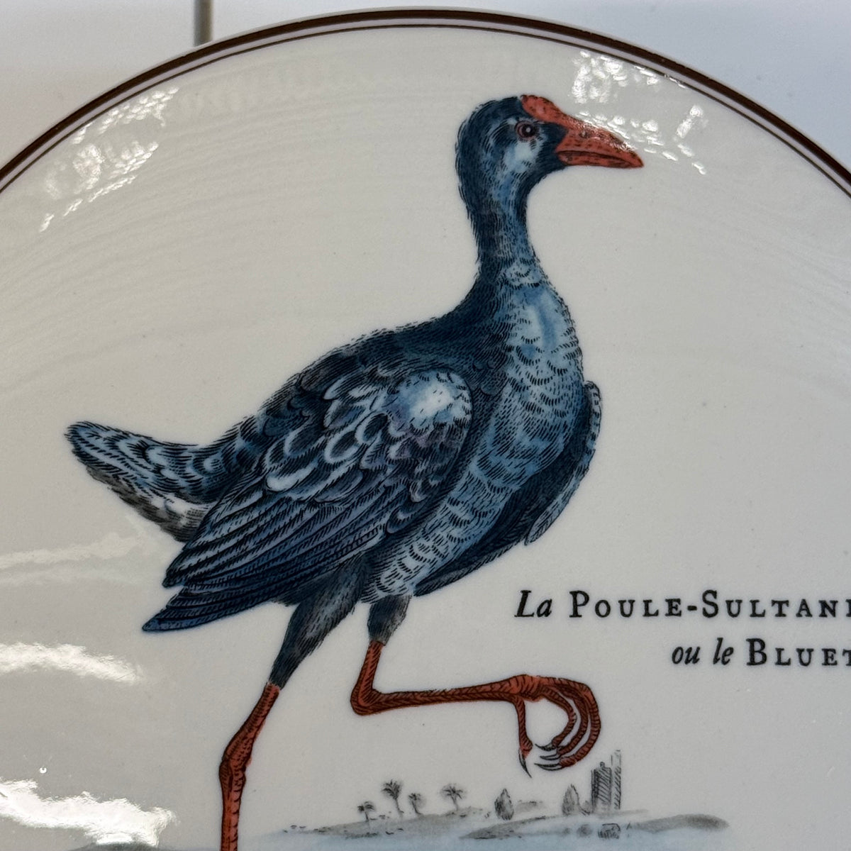 Villeroy & Boch Bird Porcelain Covered Dish Vintage