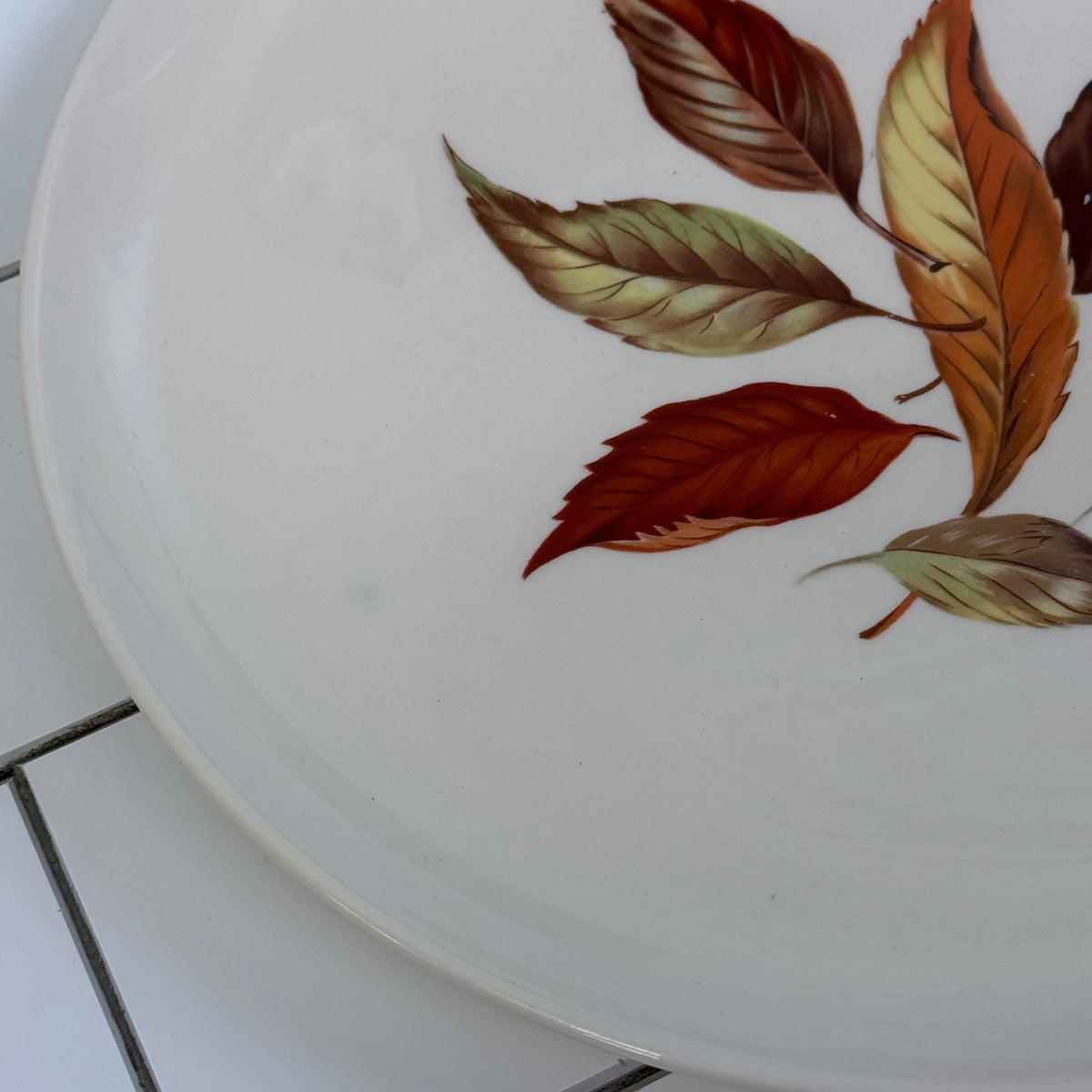 Vintage Autumn Leaf Plate Set of 8