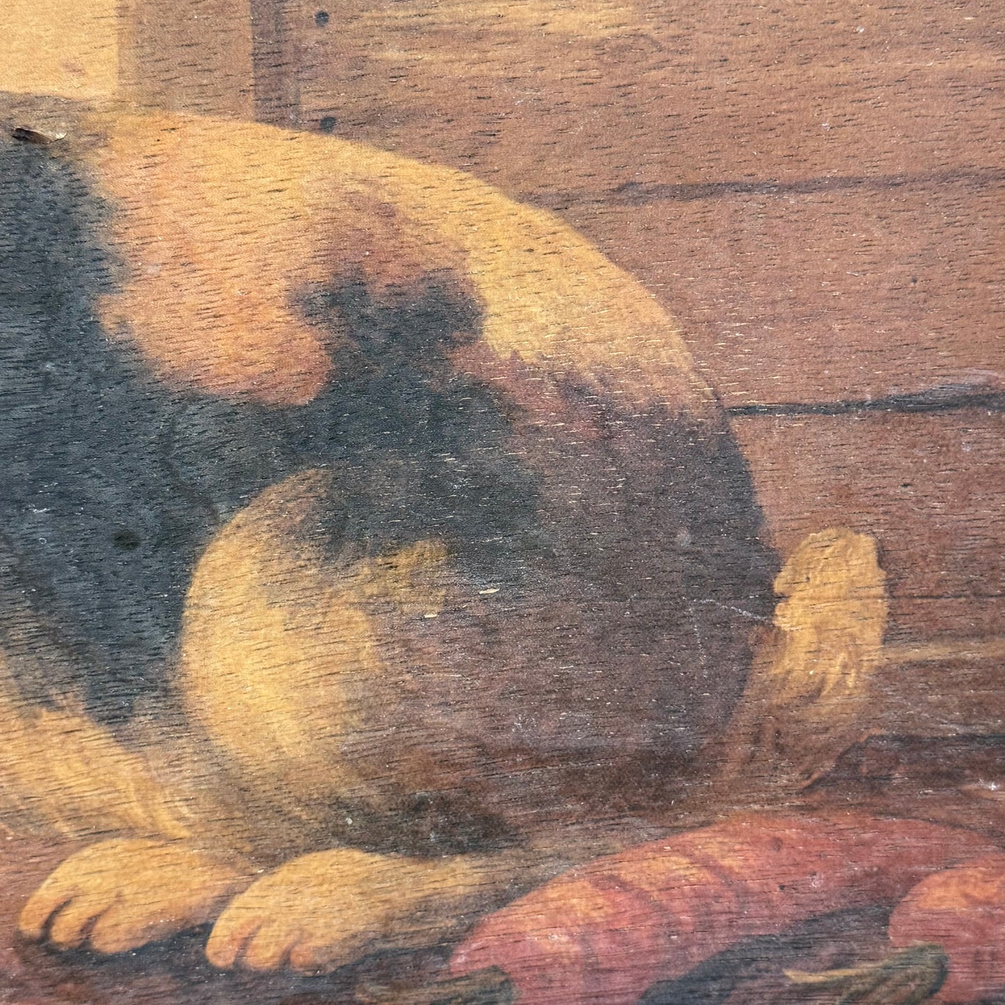 Mid Gordon English Rabbit II Framed Art on Wood 2001
