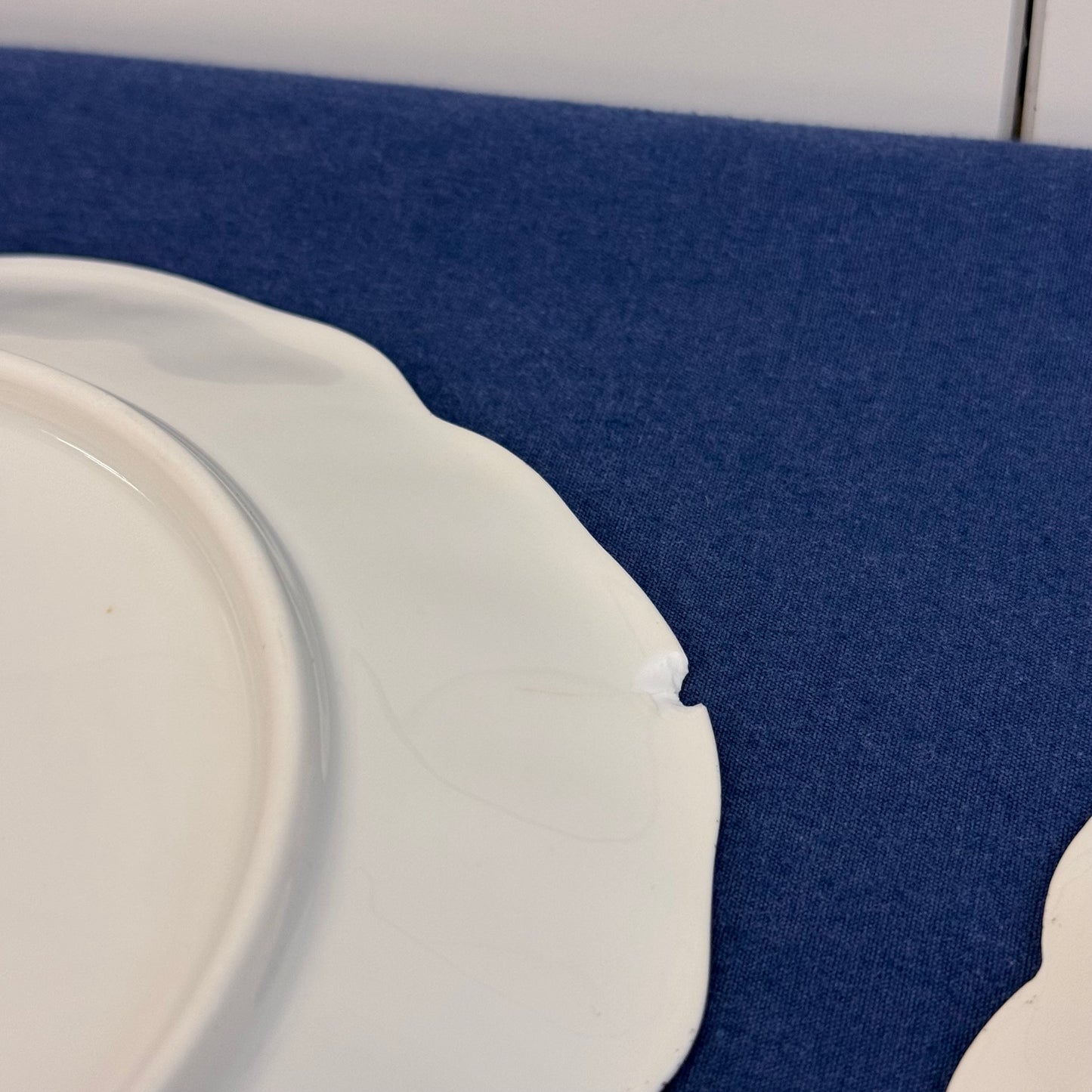 Antique European Porcelain Plates Set of 8 Hand Painted Floral Gilt Rim