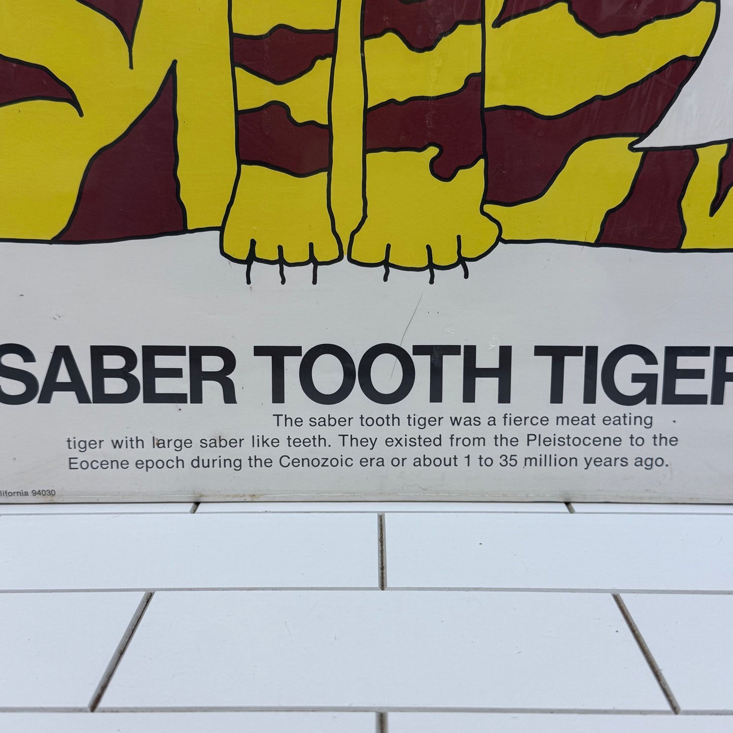 Rare Ed Shickell Saber Tooth Tiger Poster Print, 1972