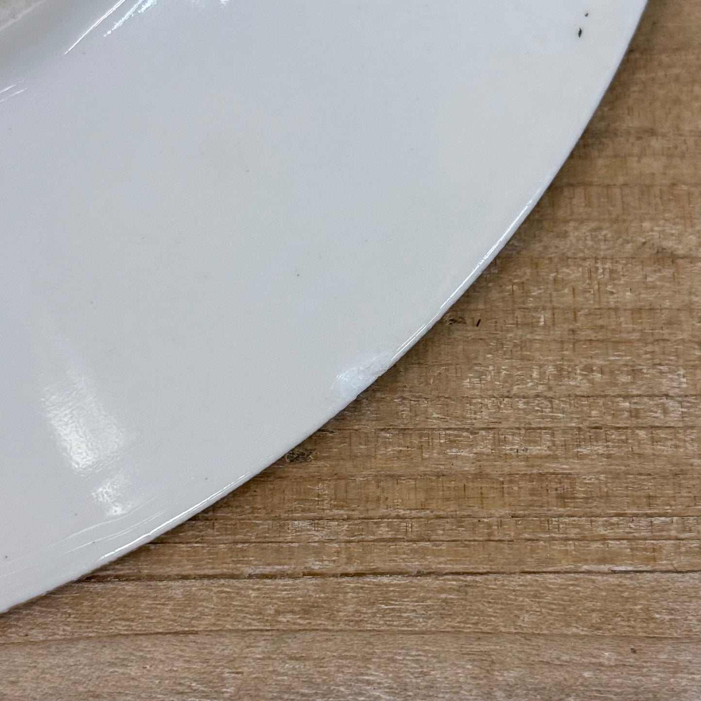 Bawo & Dotter Elite Works Limoges Bird Plate France 1900s