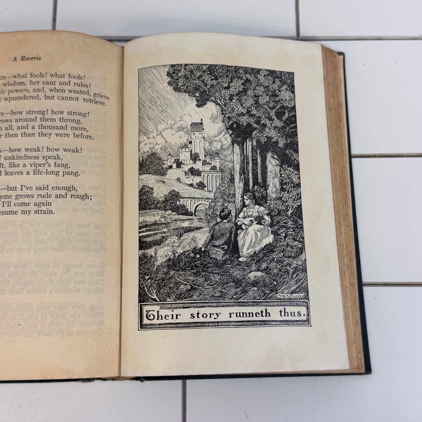 Father Ryan’s Poems Abram J Ryan Illustrated Hardcover 1896