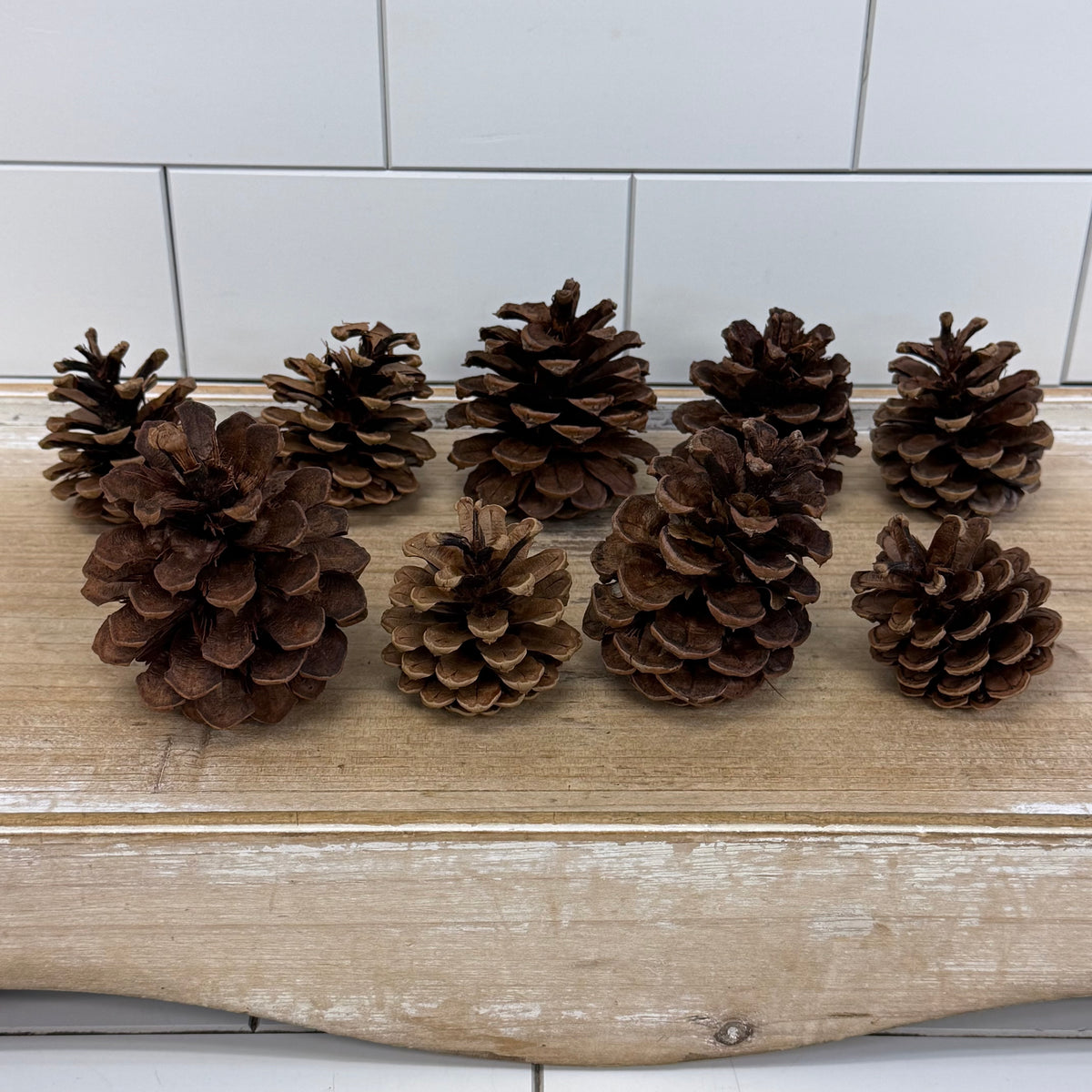 Colonial Williamsburg Cinnamon Scented Pine Cones Boxed