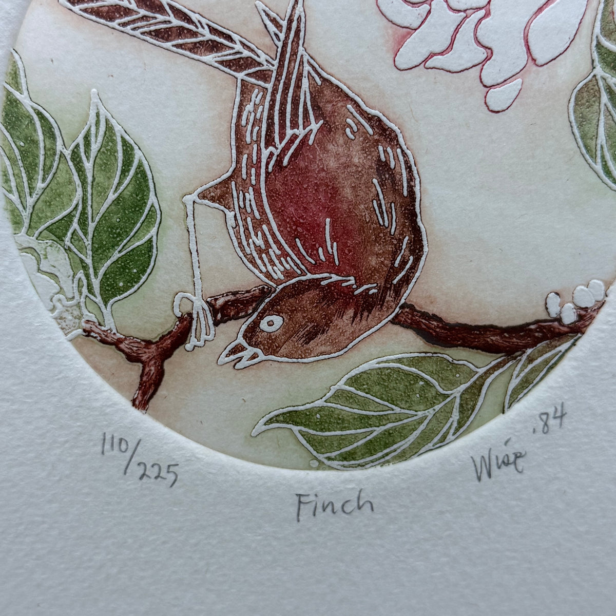 Finch Bird Etching Signed Limited Edition 110/225 Vintage 1984