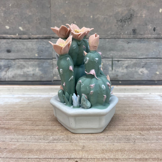 Capodimonte Porcelain Cactus Figurine