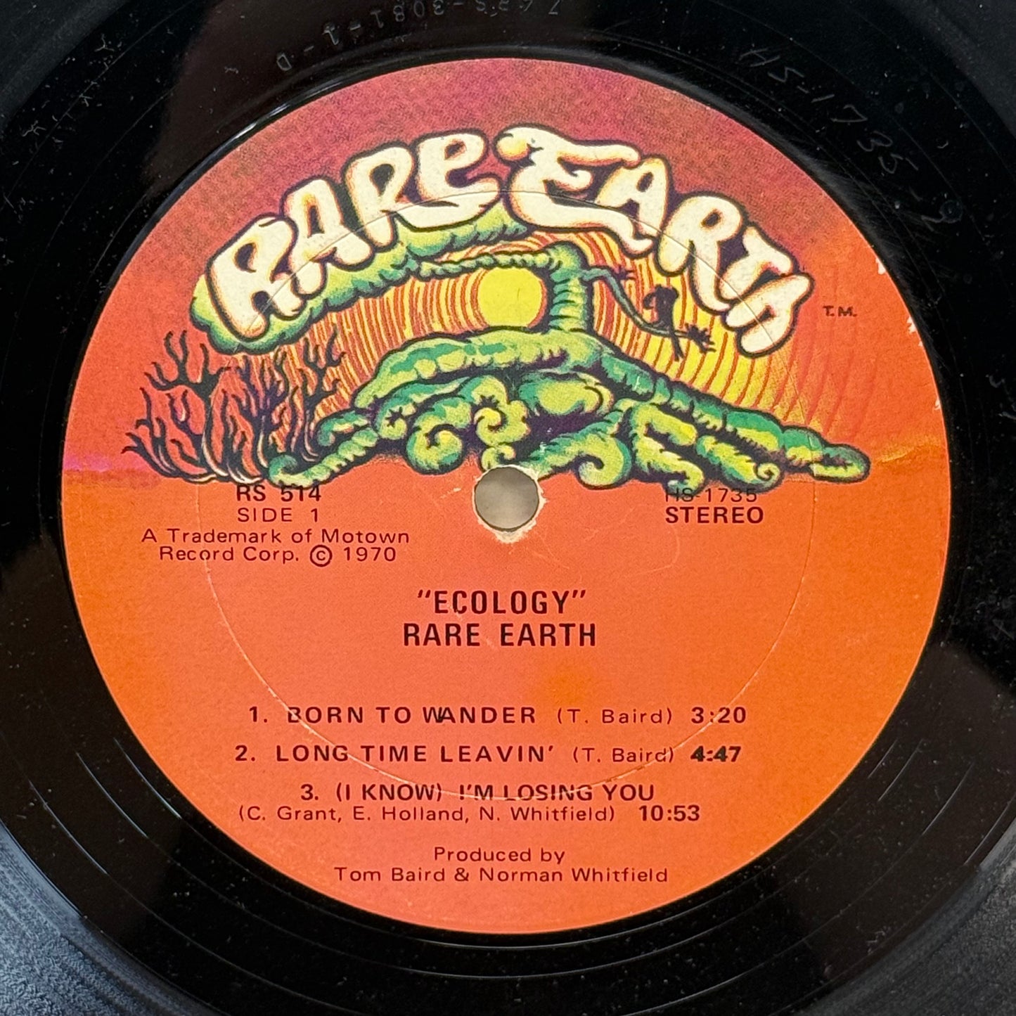 Rare Earth Ecology Psychedelic Rock Vinyl Record 1970 #RS-514