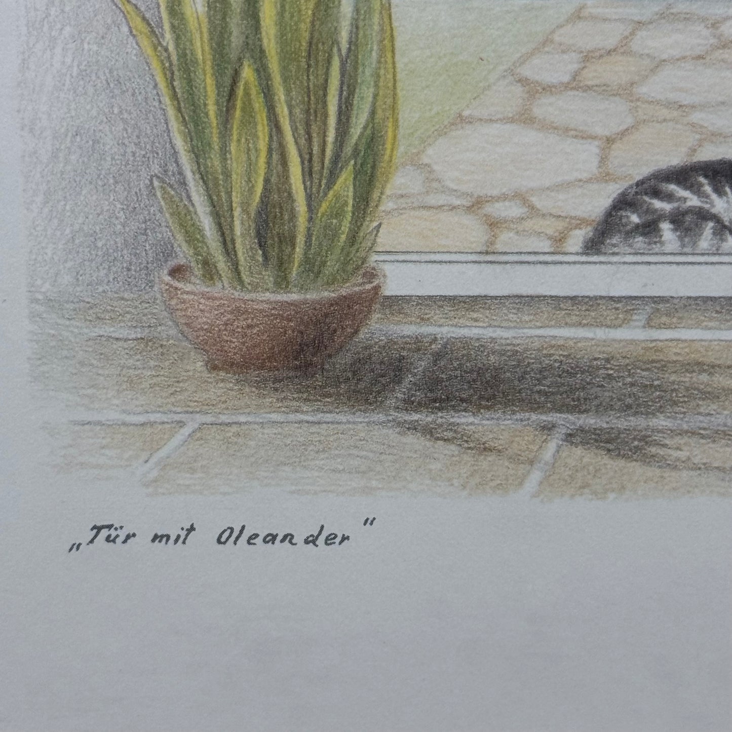 Leon Tür mit Oleander Cat & Garden Framed Art Print 1970s-1980s