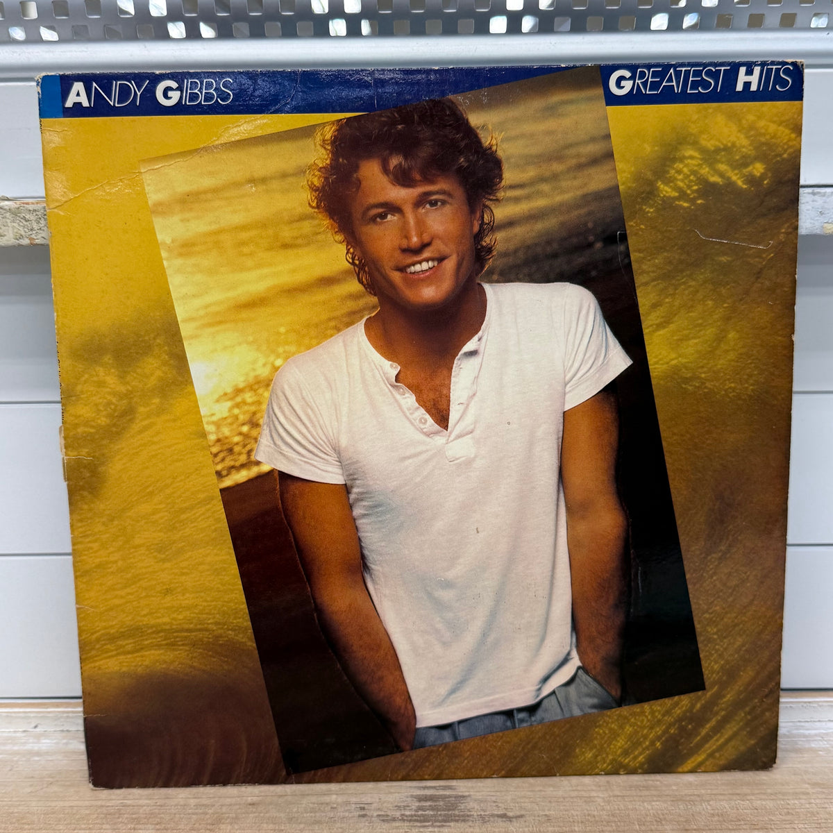 Andy Gibb Andy Gibb’s Greatest Hits Vinyl LP 1980 — #RX-1-3091