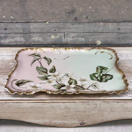 Haviland & Co. Limoges Floral Porcelain Tray, Antique