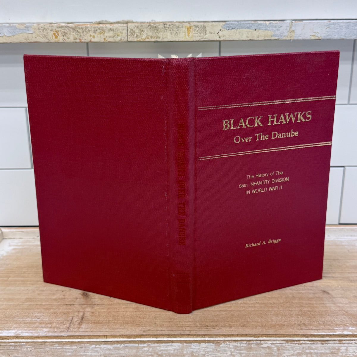 Black Hawks Over the Danube Richard A Briggs WWII 1954 Signed