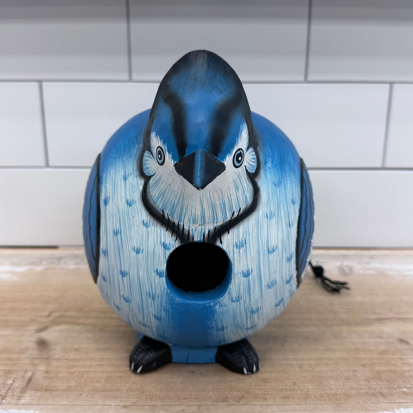Blue Jay Gord-O Birdhouse