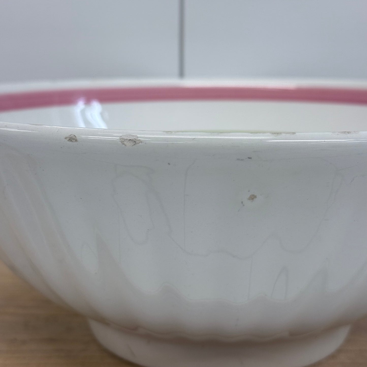 La Primula Italy Chimaphila Botanical Ceramic Serving Bowl 11”