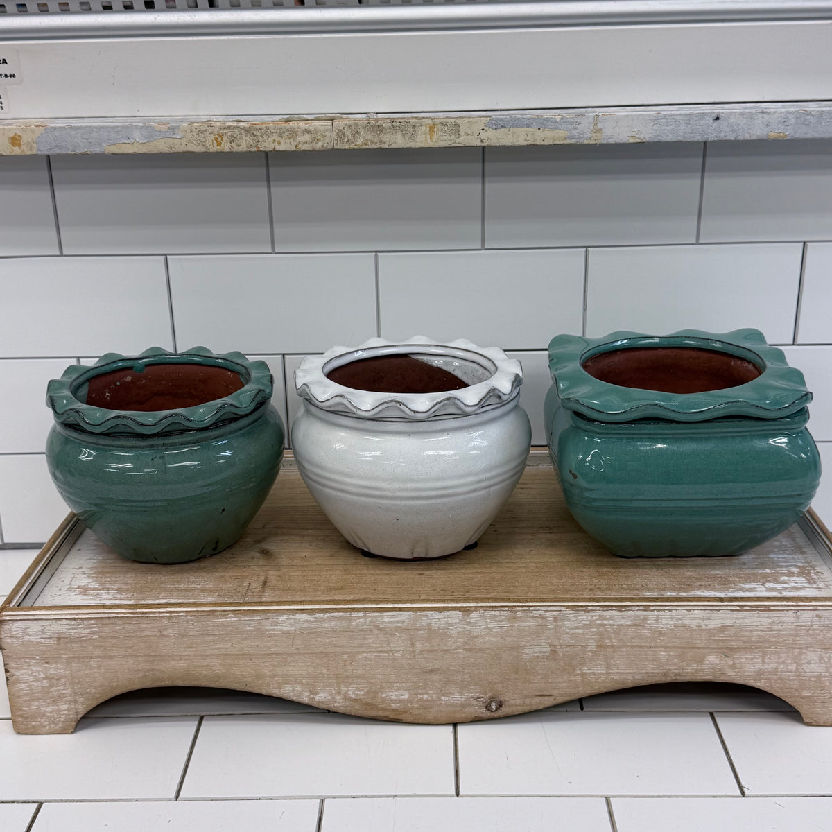Self Watering Planter Selection