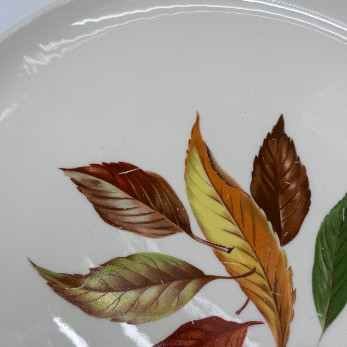 Vintage Autumn Leaf Plate Set of 8