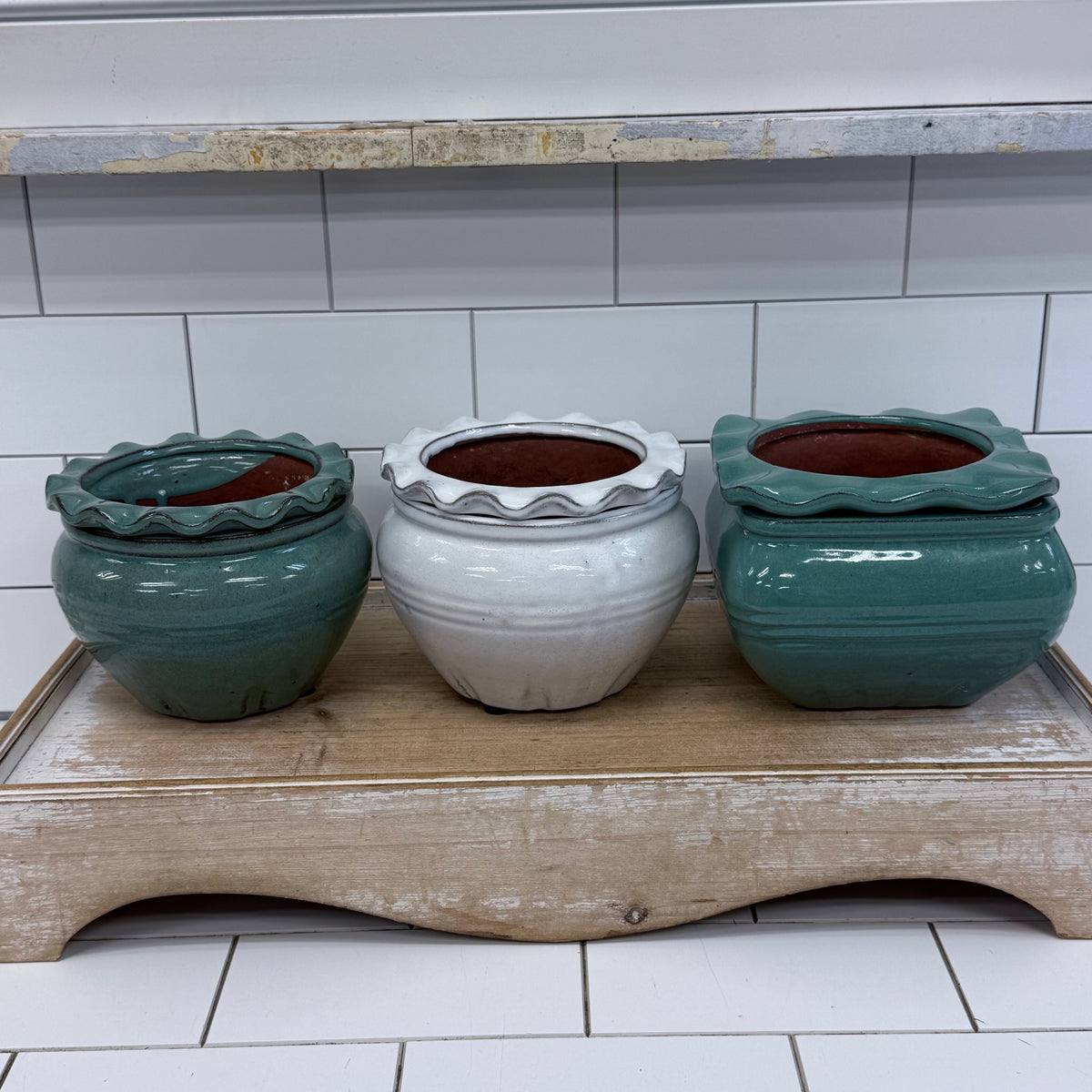 Self Watering Planter Selection