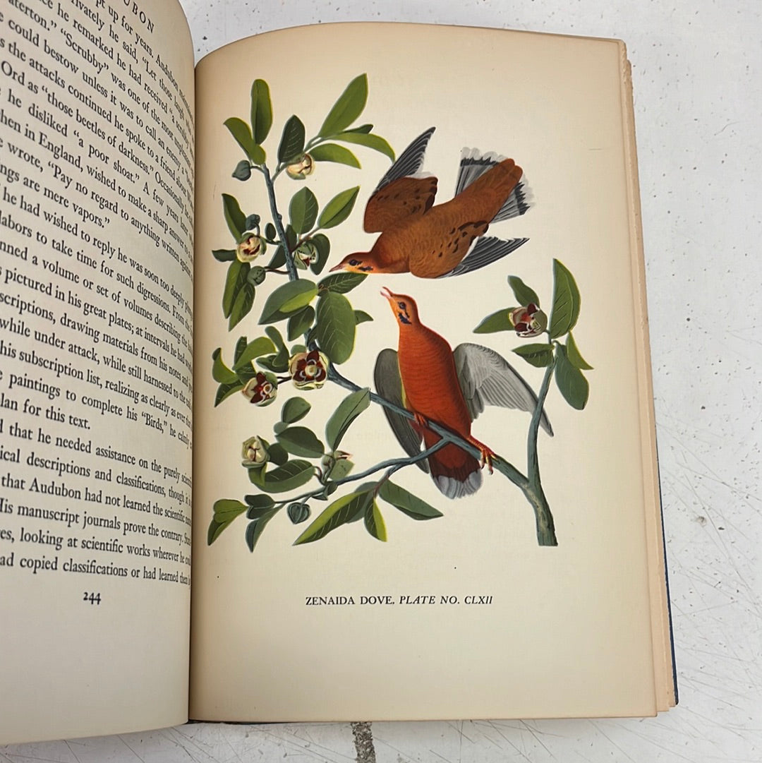 Audubon by Constance Rourke First Edition, 1936