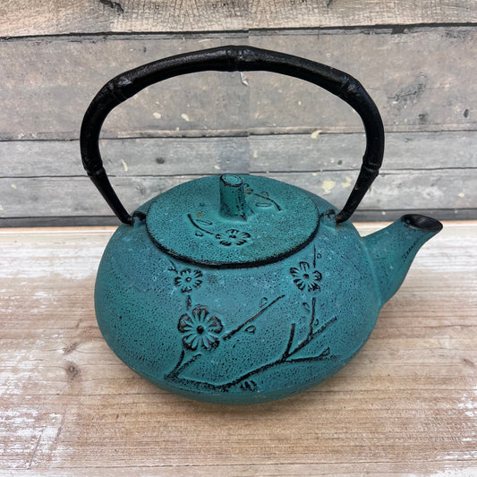 Tetsubin Cast Iron Tea Pot Selection