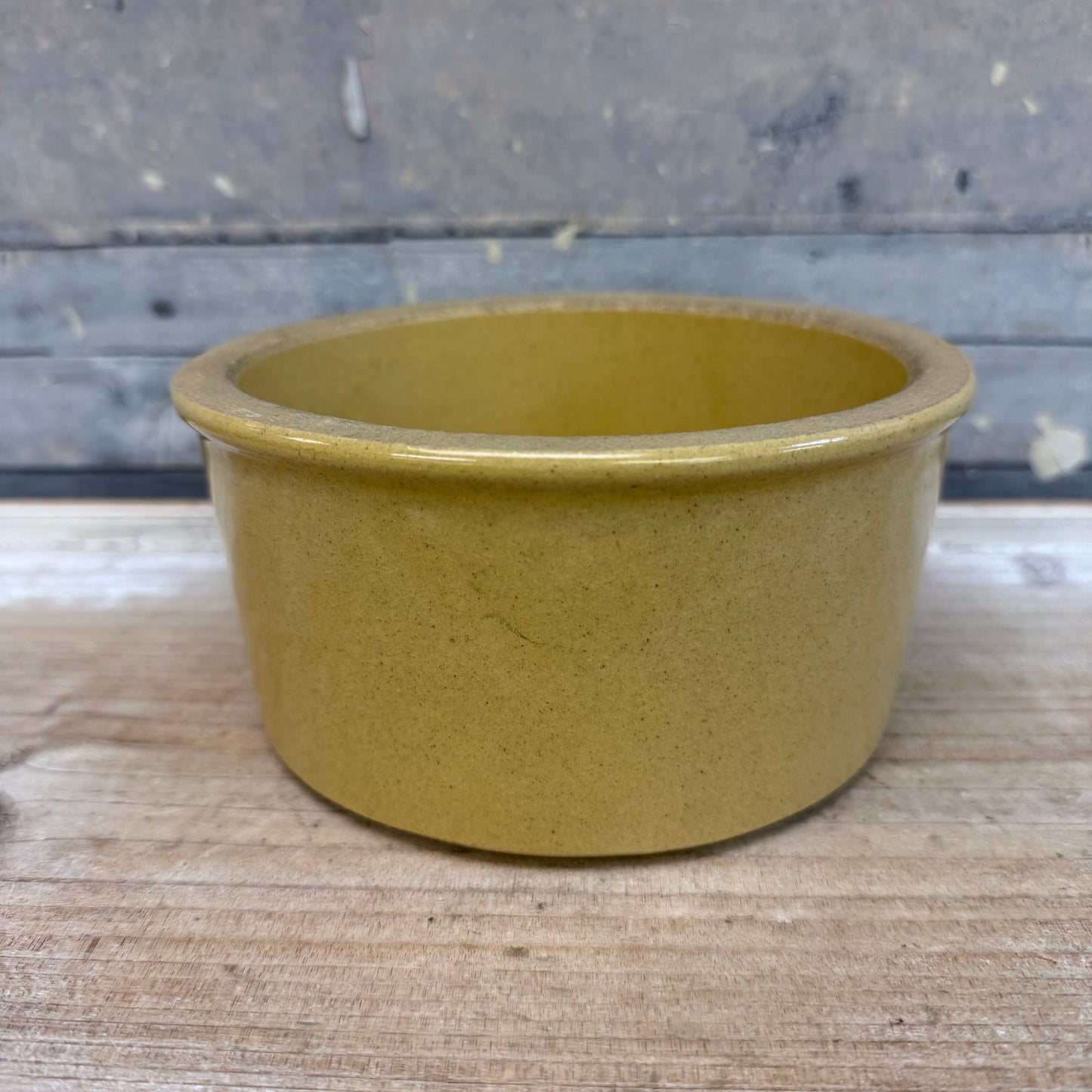 Robinson Ransbottom Stoneware Pet Bowl Selection